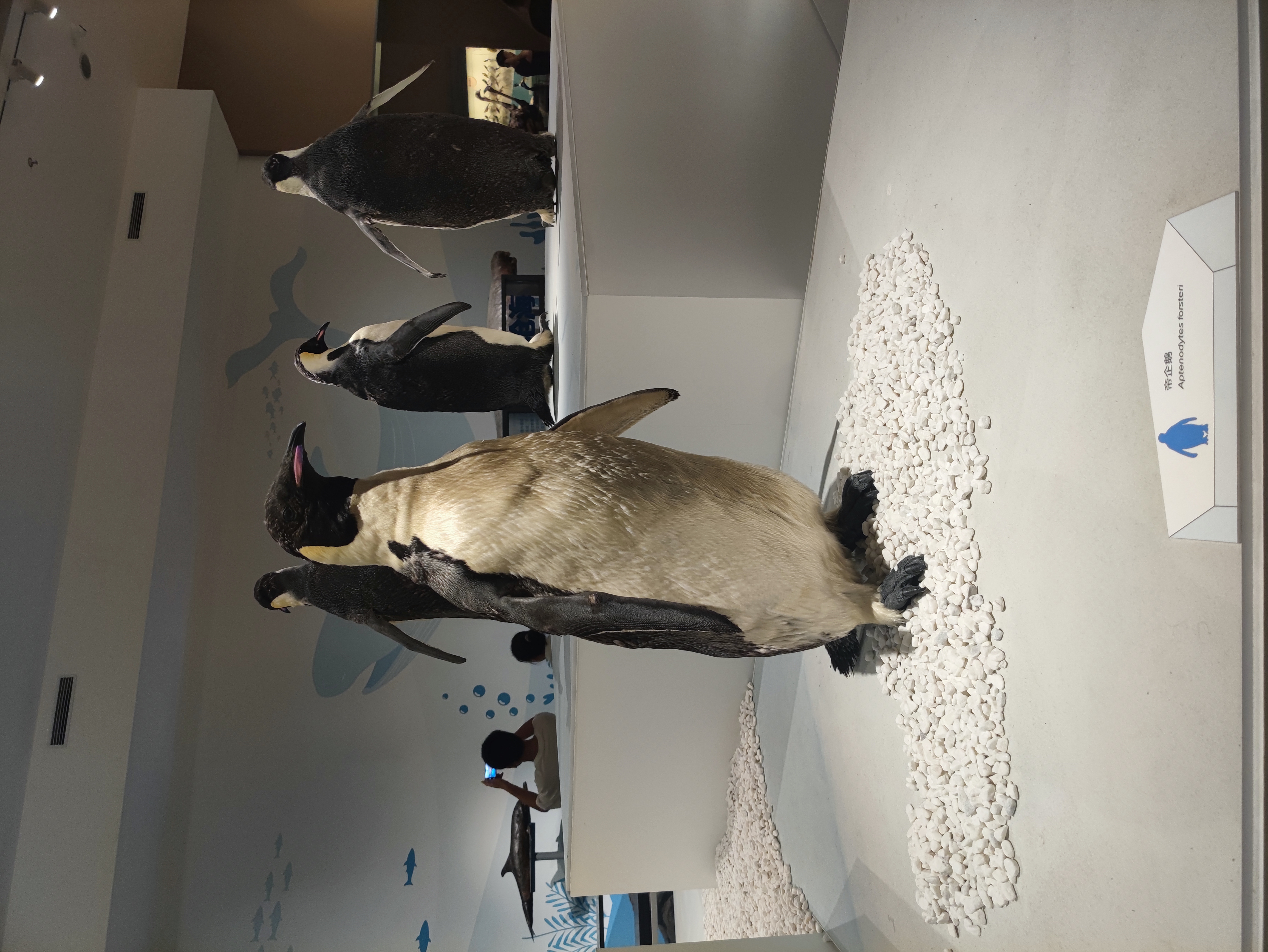 IMG_20250712_105146.jpg