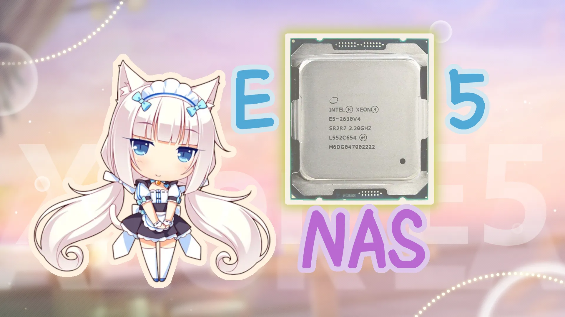E5-2630v4做NAS可行性研究报告封面图