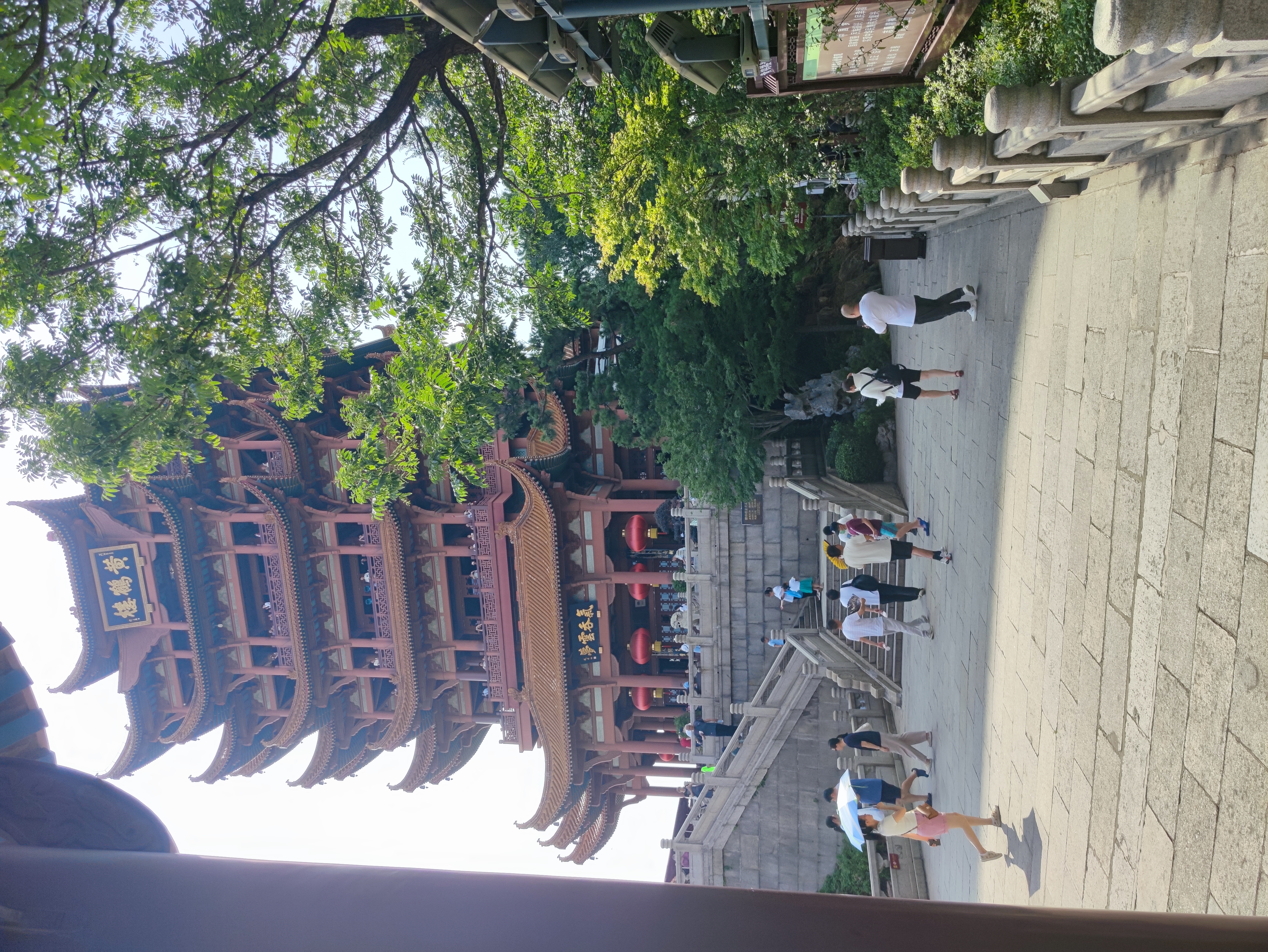 IMG_20250710_091845.jpg